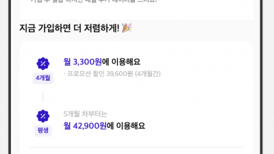 핀다이렉트sk망 3300원 100기가+5mps