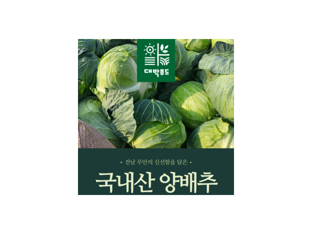 국산깐양배추 추천 TOP10 만족스러운 상품 소개